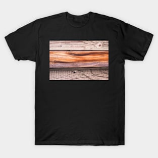 wood background T-Shirt